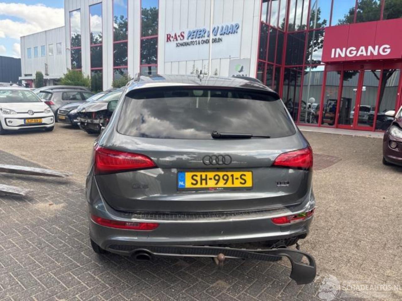 Audi Q5 Q5 (8RB), SUV, 2008 / 2017 2.0 TFSI 16V Quattro