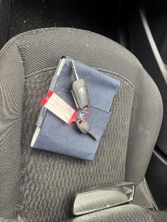 Peugeot 208 1.2 PURETECH ACTIVE picture 13