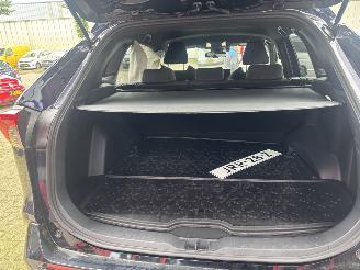 Toyota Rav-4 2.5 PLUGHYB. DYNAMIC picture 10