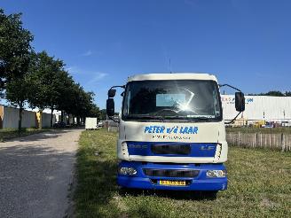 Coche accidentado DAF AE 45 BF OPRIJWAGEN GEEN SCHADE 2005/4
