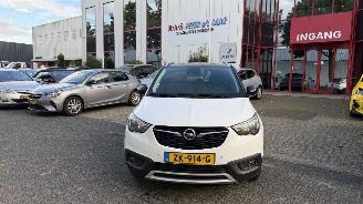 Voiture accidenté Opel Crossland X 1.2 Turbo 120 Jaar Edition 2019/6