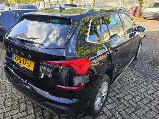 Skoda Kamiq 1.0 TSI 85KW BUSINESS EDITION picture 10