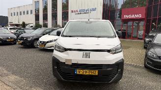 Auto incidentate Fiat Scudo 2.0 D. S&S 180 L3 HAGELSCHADE 2024/11