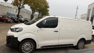 Fiat Scudo 2.0 D. S&S 180 L3 HAGELSCHADE picture 3