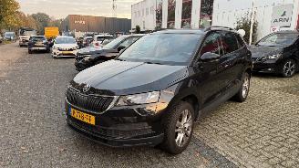 Skoda Karoq 1.5 TSI ACT Business Edition picture 2