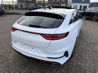 Kia Pro cee d 1.6 T-GDi  150 Kw GT-Line automaat picture 16