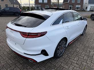 Kia Pro cee d 1.6 T-GDi  150 Kw GT-Line automaat picture 15
