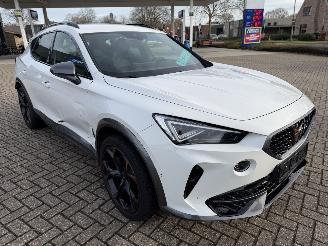 Cupra Formentor 2.0 -180 Kw Automaat VZ picture 2