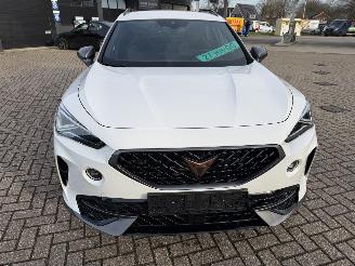 Cupra Formentor 2.0 -180 Kw Automaat VZ picture 10