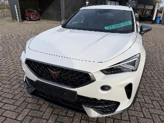 Cupra Formentor 2.0 -180 Kw Automaat VZ picture 9