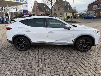 Cupra Formentor 2.0 -180 Kw Automaat VZ picture 17