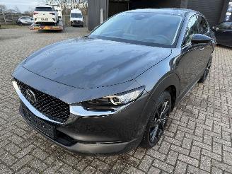 Mazda CX-30 2.5 MHEV 104 Kw Automaat Homura picture 2