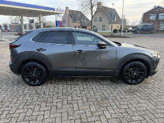 Mazda CX-30 2.5 MHEV 104 Kw Automaat Homura picture 9