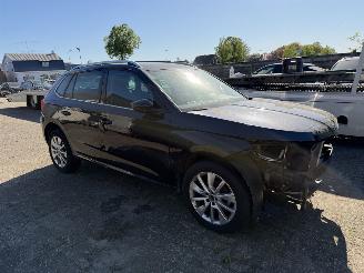 Skoda Kamiq 1.0-81 Kw DSG picture 14