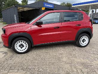 Fiat Grande Panda  picture 20