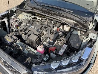 Toyota Corolla Cross Hybrid picture 18