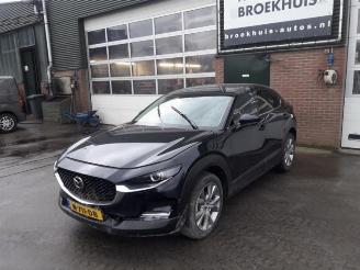 Mazda CX-30 CX-30 (DM), SUV, 2019 2.0 e-SkyActiv X 186 M Hybrid 16V picture 6