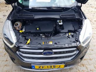 Ford Kuga 2.0 TDCi ST-Line picture 10