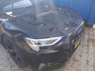 Audi E-tron e-tron 50 quattro Launch edition 71 kWh picture 13