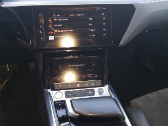 Audi E-tron e-tron 50 quattro Launch edition 71 kWh picture 18