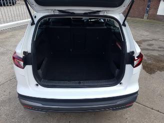 Skoda Enyaq 60 picture 22