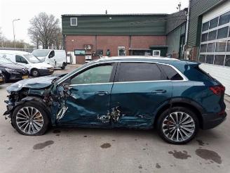 Audi E-tron e-tron (GEN), SUV, 2018 / 2023 55 quattro picture 6