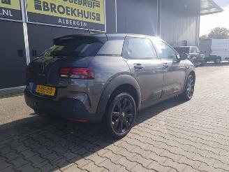 Citroën C4 cactus 1.2 PureTech Origins picture 7