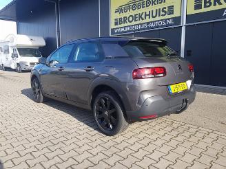 Citroën C4 cactus 1.2 PureTech Origins picture 8