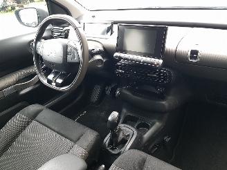 Citroën C4 cactus 1.2 PureTech Shine picture 19