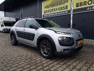 Citroën C4 cactus 1.2 PureTech Shine picture 6