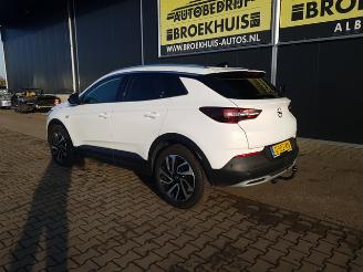 Opel Grandland 1.2 Turbo Business Executive picture 7