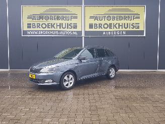 skadebil auto Skoda Fabia Combi 1.0 TSI Clever 2018/6