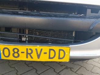 Peugeot 1007 1.4 Gentry picture 11