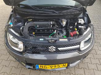 Suzuki Ignis 1.2 Select Intro AUTOMATIC picture 11