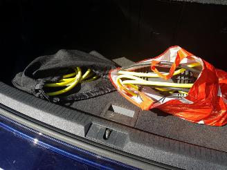 Volkswagen e-Golf e-Golf picture 25