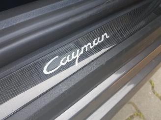 Porsche 718 Cayman 2.0 picture 22