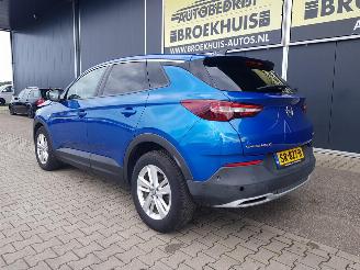 Opel Grandland X 1.6 CDTi Business Executive picture 7