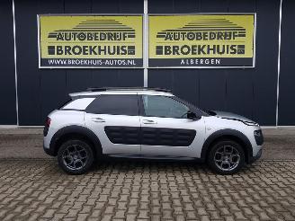 Citroën C4 cactus 1.2 PureTech Shine picture 4