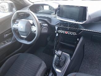 Peugeot 2008 1.2 PureTech Active Pack picture 14