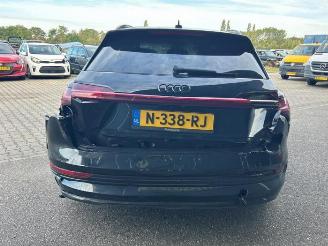 Audi E-tron e-tron (GEN), SUV, 2018 / 2023 55 quattro picture 3