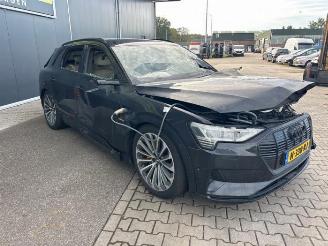 Audi E-tron e-tron (GEN), SUV, 2018 / 2023 55 quattro picture 6