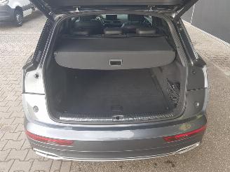 Audi Q5 3.0 TFSI SQ5 quattro Pro Line Plus picture 22
