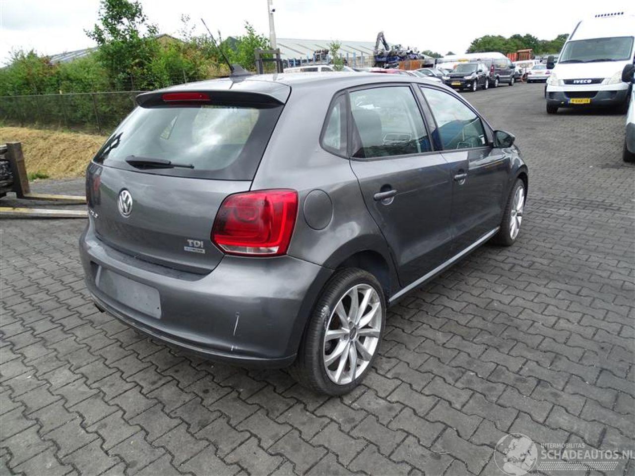 Volkswagen Polo 1.6 TDi