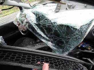 Fiat Punto .09 picture 5