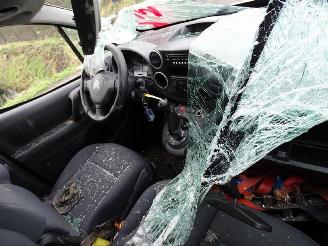 Citroën Berlingo 1.6 hdi picture 5