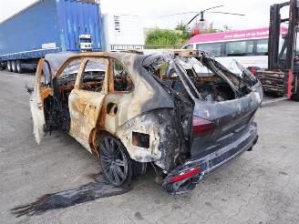 Porsche Cayenne S E-HYBRID 3.0 picture 2