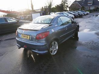 Autoverwertung Peugeot 206 CC 1.6 16v 2006/3