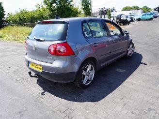 Volkswagen Golf 1.6 FSi picture 1