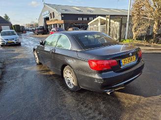 BMW 3-serie 318i Cabrio picture 2