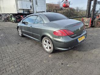 Peugeot 307 CC 2.0 16v picture 2